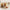 Kit 4 Pratos Snack Transparente Dourado